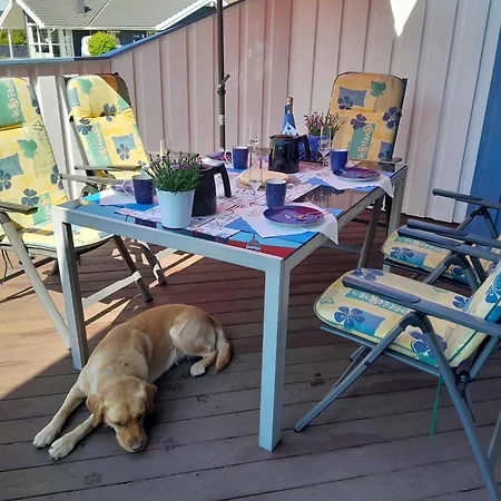 Johns Holthuus בית נופש Brodersby-Goltoft